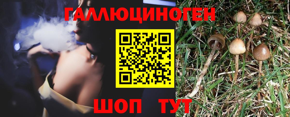 Псилоцибиновые грибы мицелий Жигулёвск